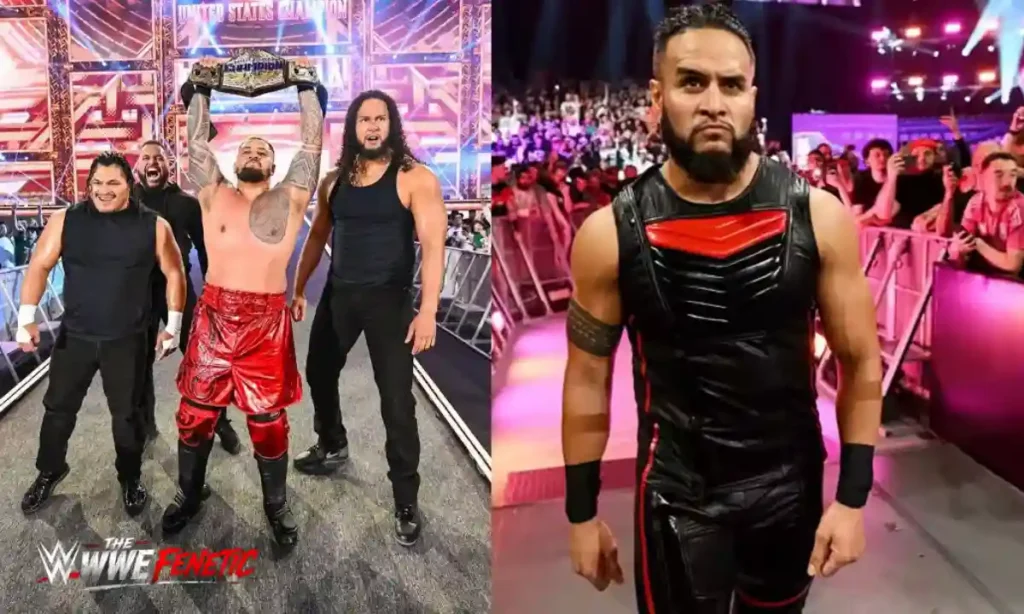 What Does MFT Stand for WWE